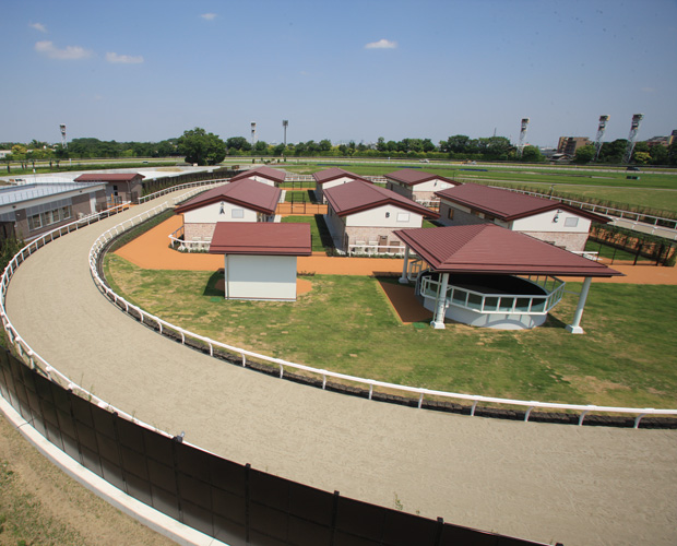 JRA東京競馬場 国際厩舎